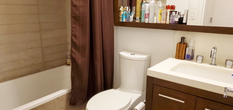 225RP6B 225 Rector Place